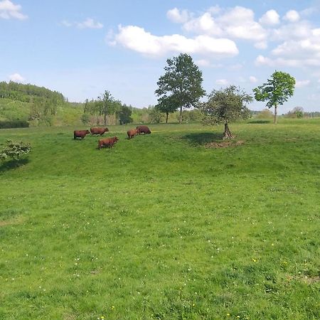 Harzer Bauernhof Apartman Thale Kültér fotó
