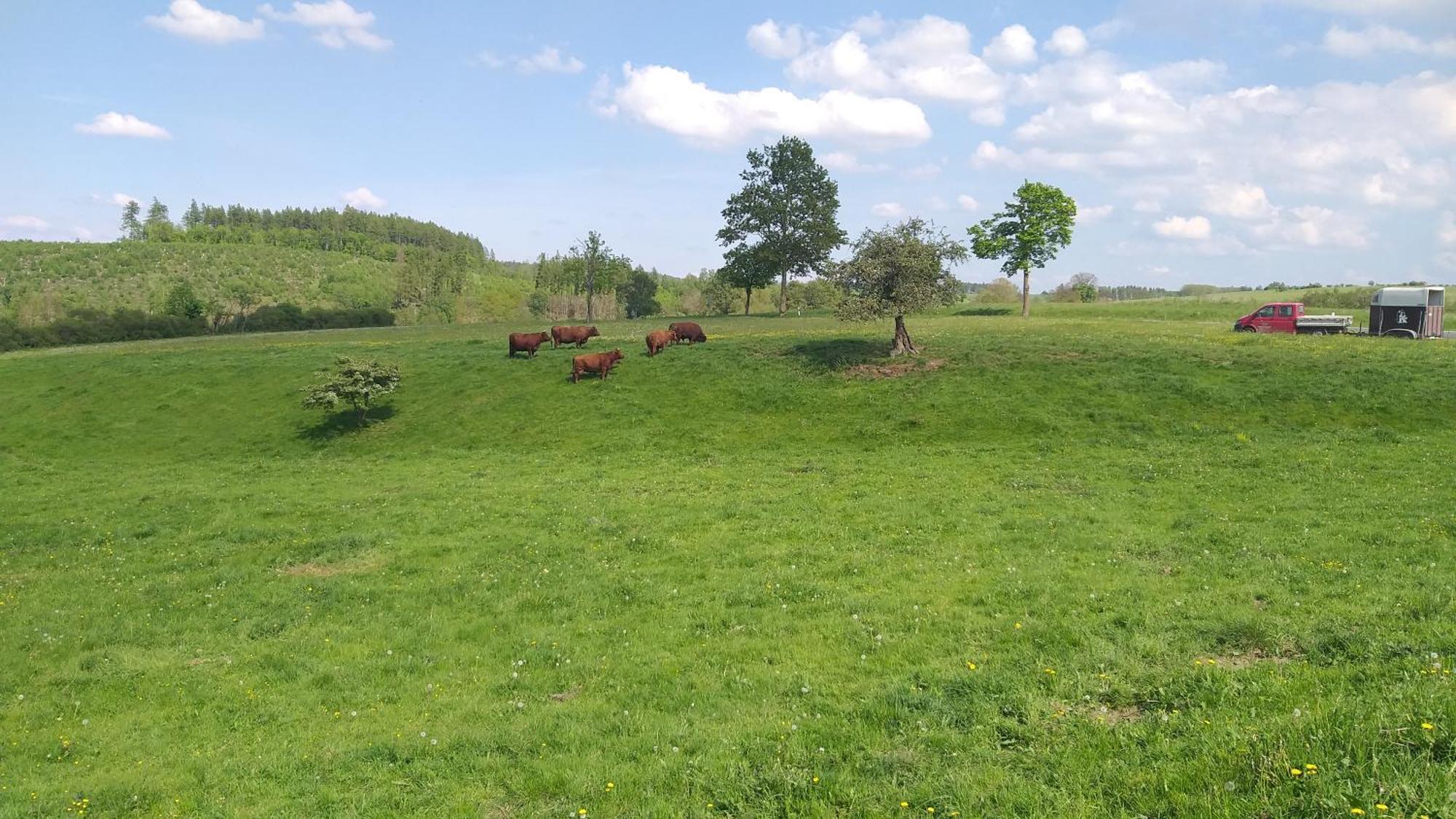 Harzer Bauernhof Apartman Thale Kültér fotó
